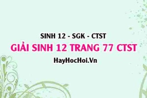 Giải Sinh 12 trang 77 Chân trời sáng tạo SGK
